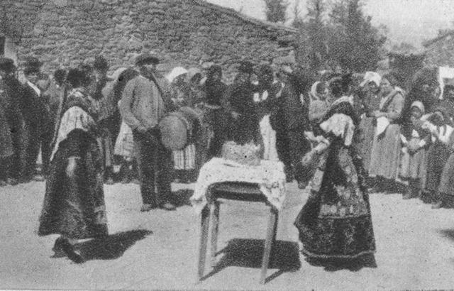 LA ZARZA DE PUMAREDA