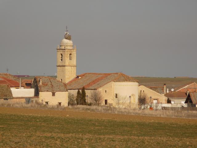 ENCINILLAS